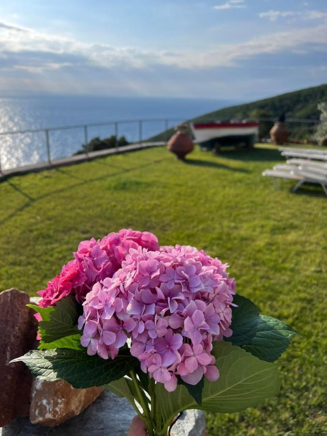 Villa Armonia Neohóri Kültér fotó
